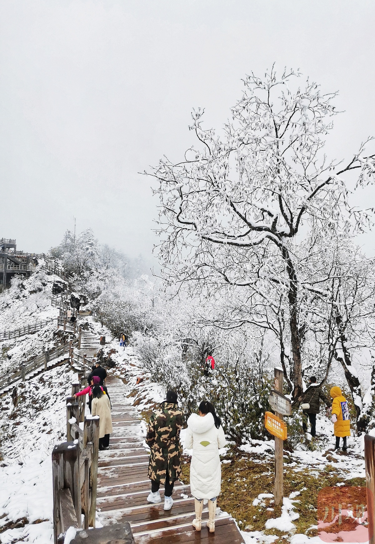 航拍视频美图下雪了川观拍客现场记录西岭雪山2021秋天第一场雪