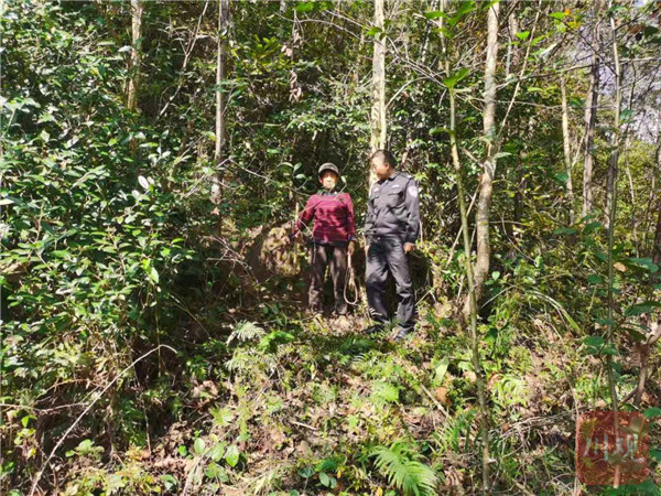 濒危野生动物麂子误入庄稼地达州民警背它徒步3公里治伤