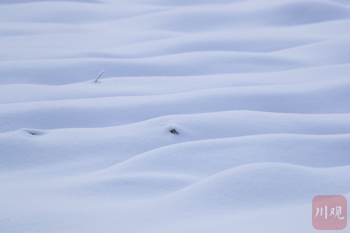 2月20日,一场大雪后的成都市大邑县唐王坝白雪皑皑,山林银装素裹,绵延