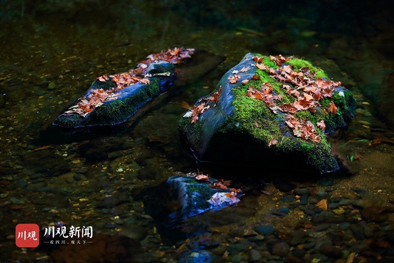 雅安有多少人口_143.46万人!雅安市最新常住人口数据出炉