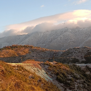 越西縣林業和局王健華
