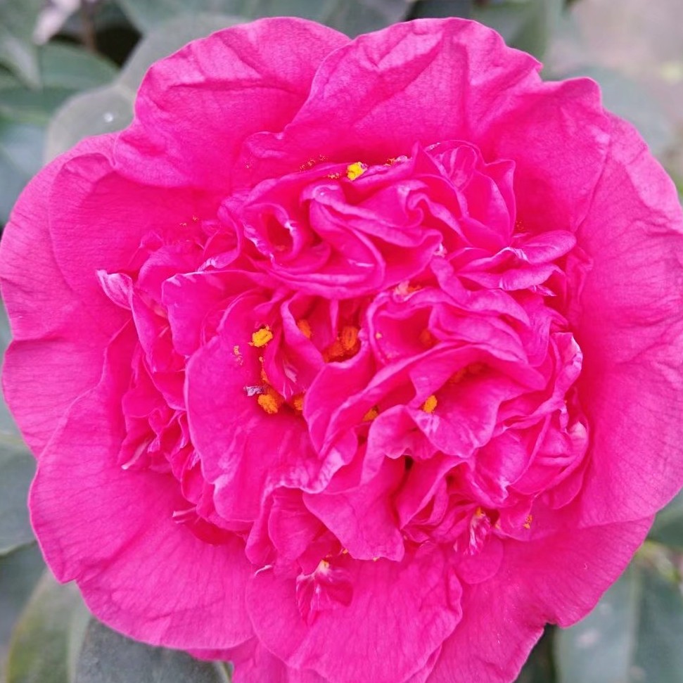 淅淅沥沥的小雨