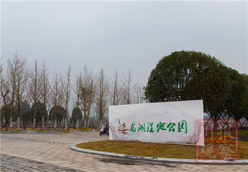 泸县龙湖湿地公园春节开放