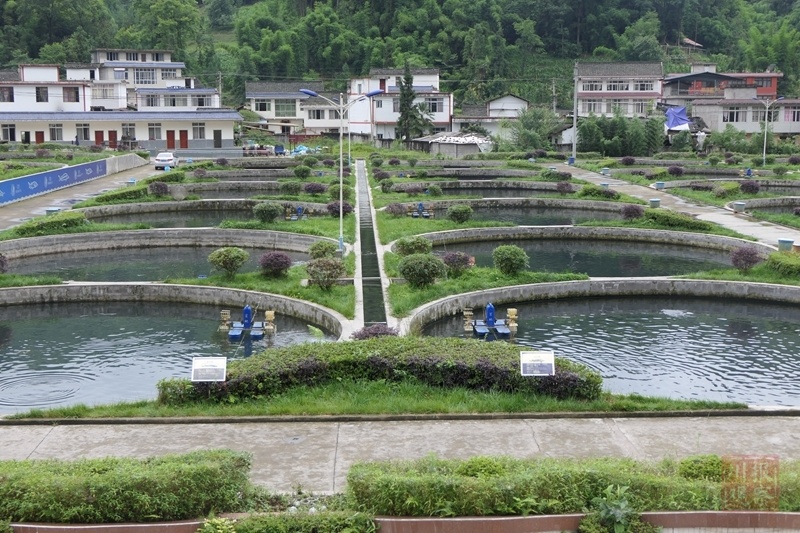 润兆渔业鲟鱼基地