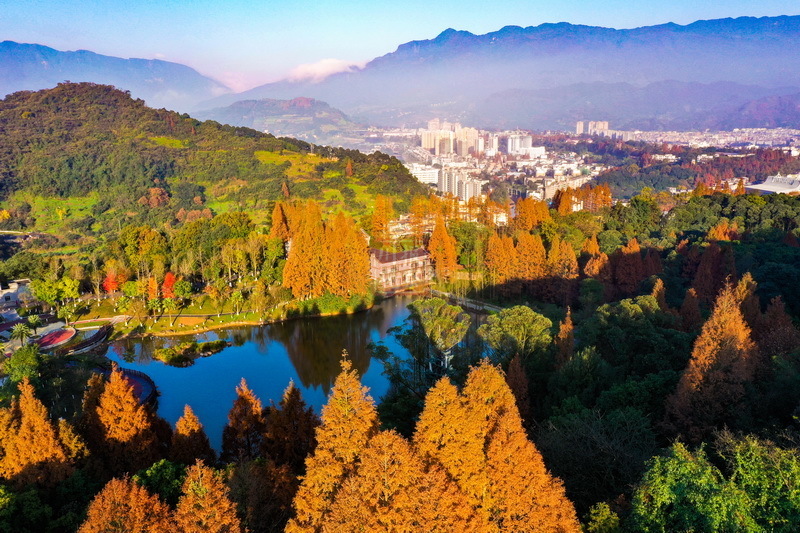 雅安张家山城市里的森林公园