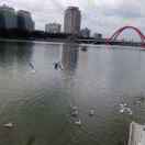 说了你就晓得了