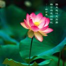 黄建华1727092