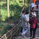 麦田里的守望者139653