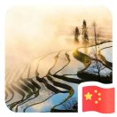 我爱樱枫