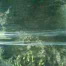 威远县税务局简永