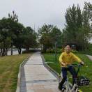 🌻 致存高远🌼