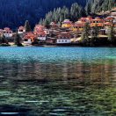 @༼རིན༽青@