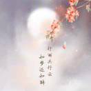 靜兒257079