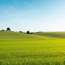 放牧人--易军--沐哥