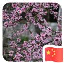 达州万源市正能量王子