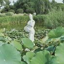 一念成佛一念成魔1793181