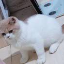 三阿哥又长高了