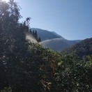 身居草野心在庙堂