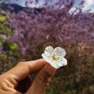 低调de旋律115200