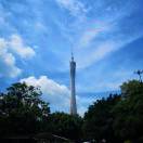 王鑫10699