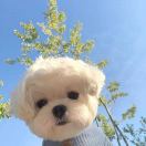 密涅瓦的猫头鹰1859152