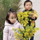 彩色精灵（刘林）