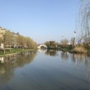 杨丰羽（飞哥）