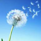 万源民政局张祥