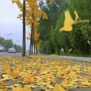 笑对人生ོོོ