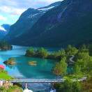 藏羚羊(陈本国)