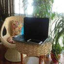 白天不懂夜的黑1927646