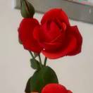 有你们真好1991903