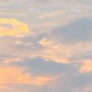 朱大鹏就是朱鹏