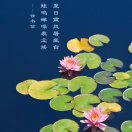 趙澤輝13990965989
