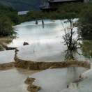 ꦿ᭄໊🕊曾采琴᭄