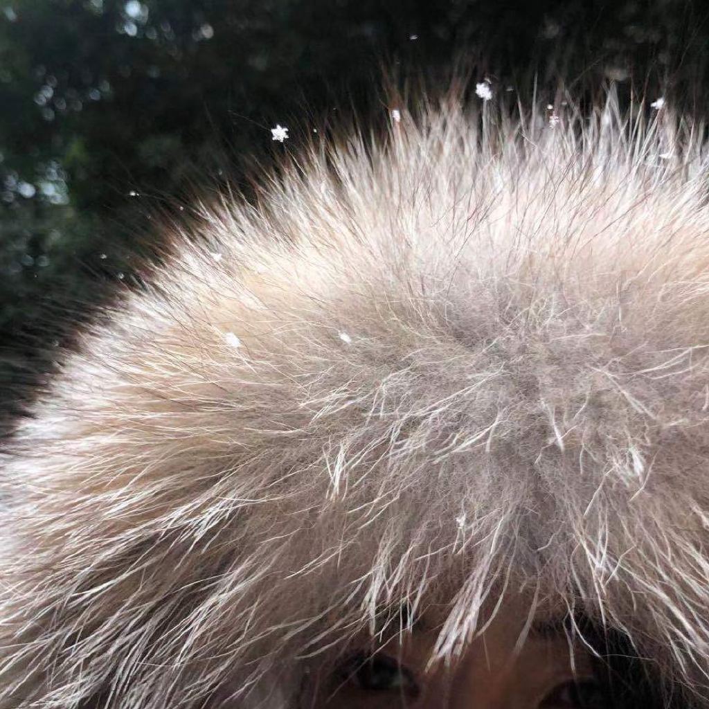 看見雪飄