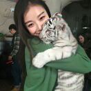 hakuna matata2193856