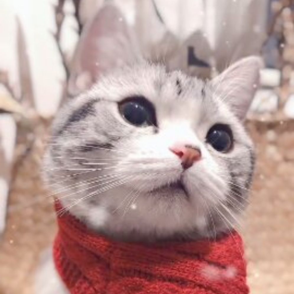 大笨笨和小笨笨