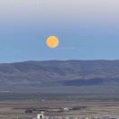 牧人黑娃【sangzhou】