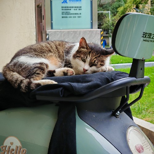 如果你也爱我就好了