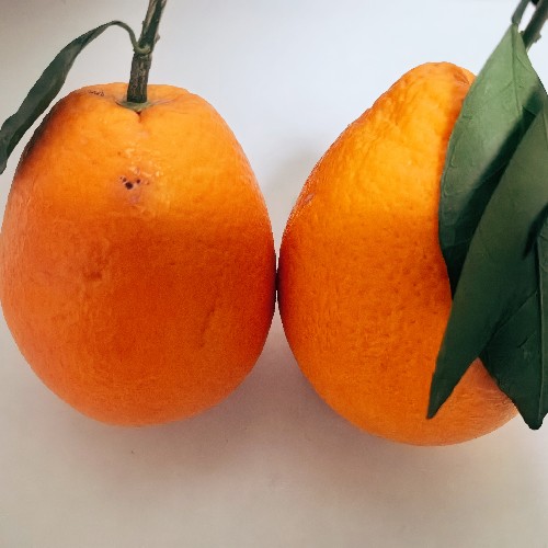 川观网友元宇宙