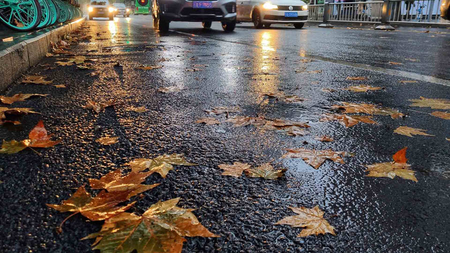 冬天又冷又下雨的图片图片