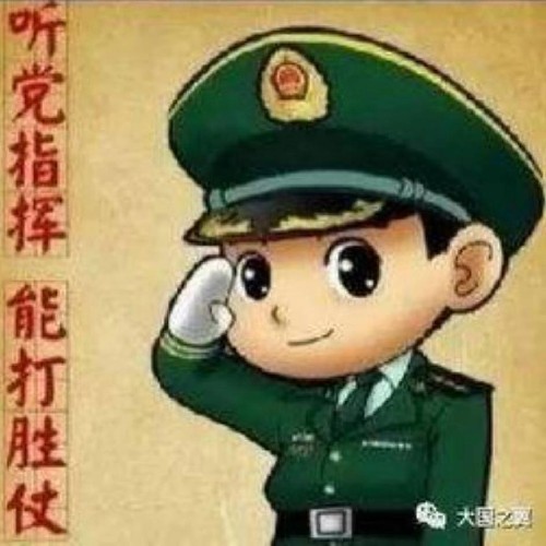 自貢WJ6599