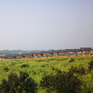 荔江鎮(zhèn)Z.Ge戈