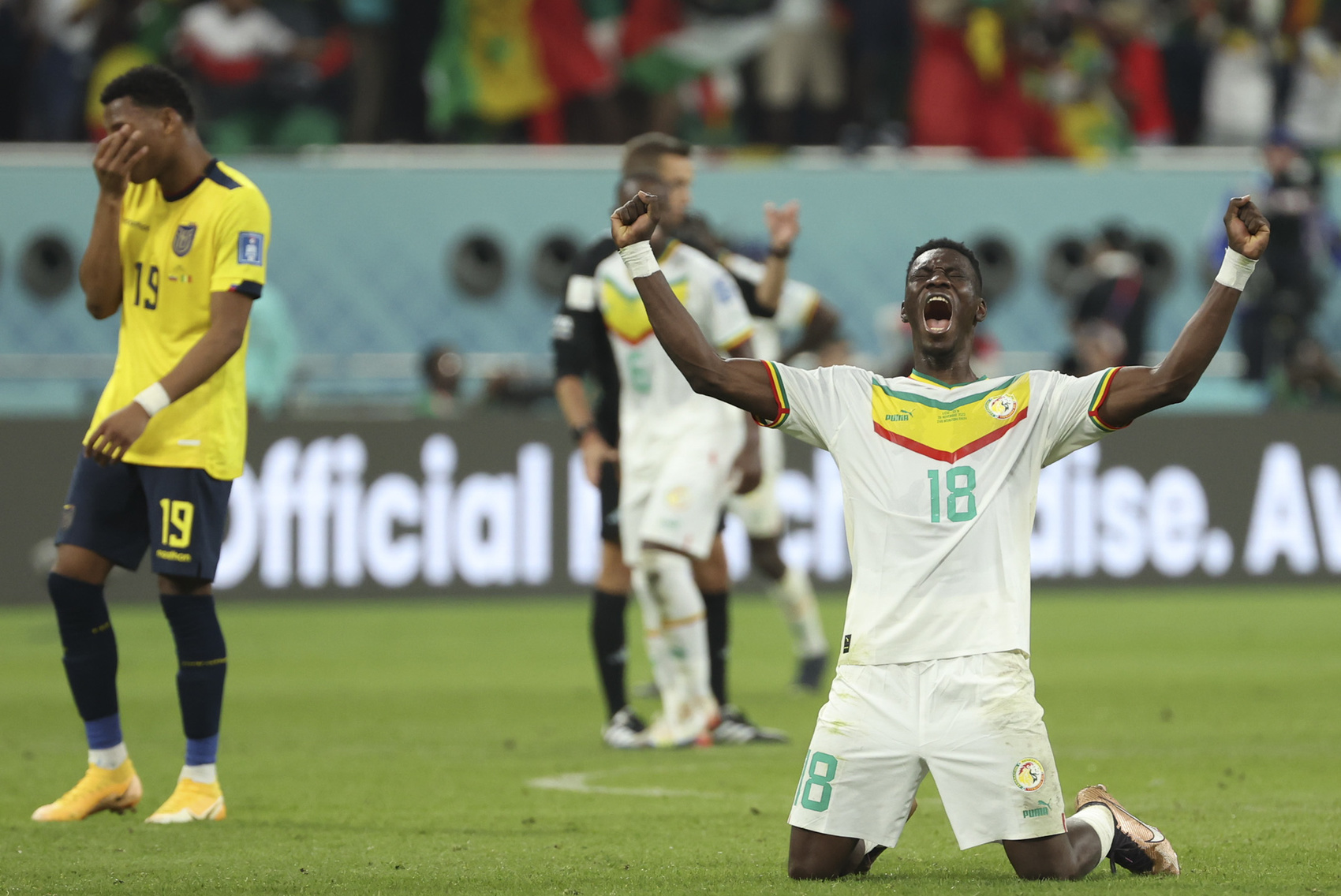 【世界杯】塞内加尔晋级16强　厄瓜多尔1比2出局