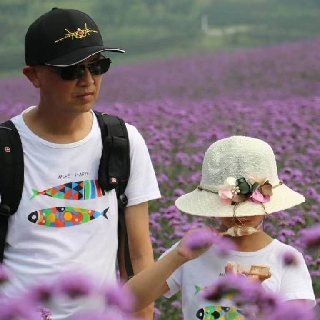 川觀網(wǎng)友515a82