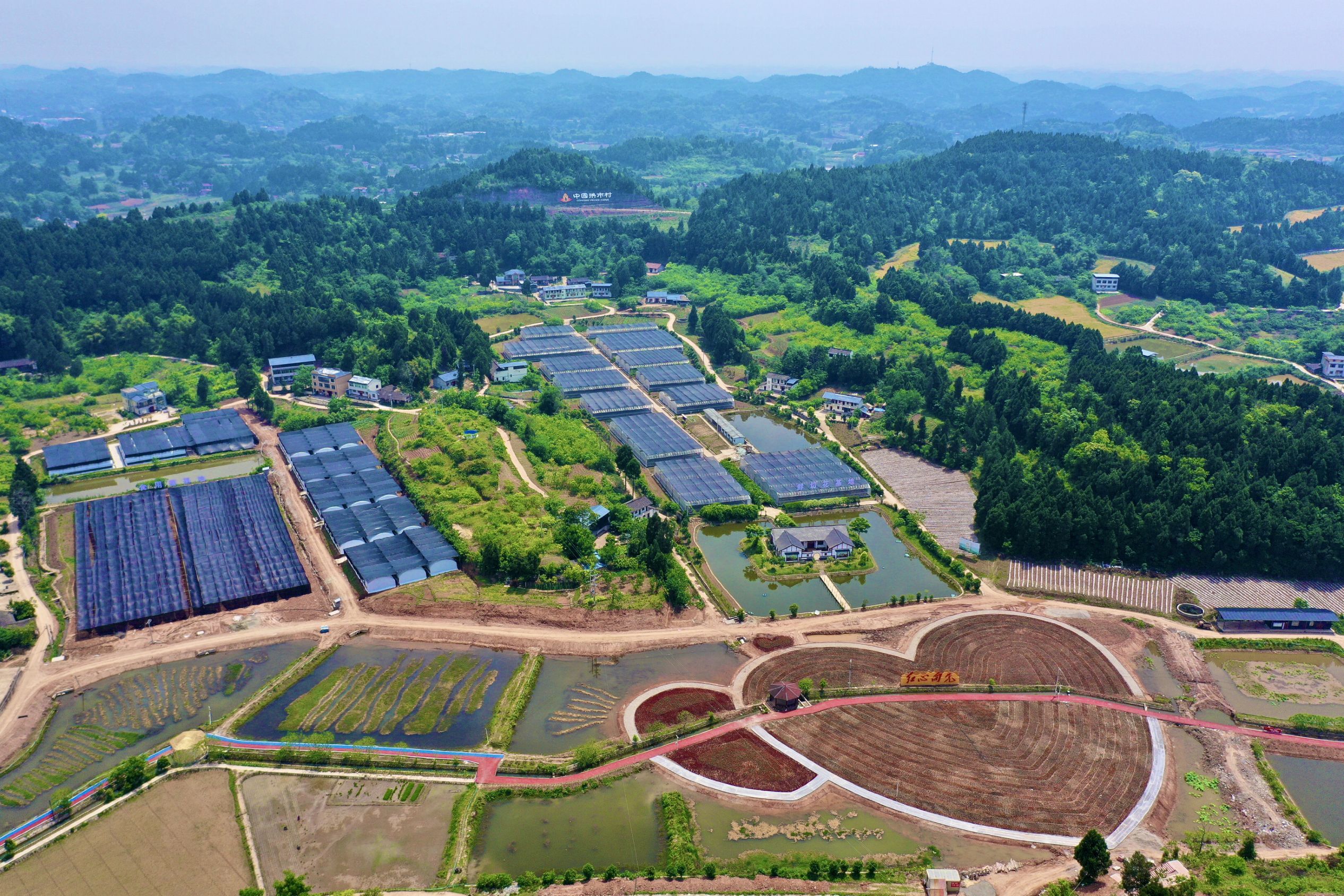 行走新巴蜀遂宁蓬溪行③丨c视频精品村建设再升级拱市村颜值产业双