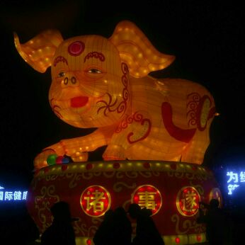 暖春鑫龍