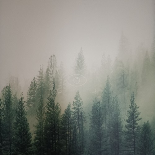 西南油气田-王春