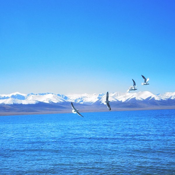 川观网友h啦啦啦2